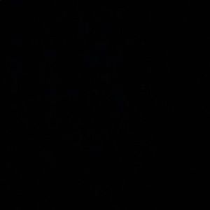 Meet your Posher, Ella